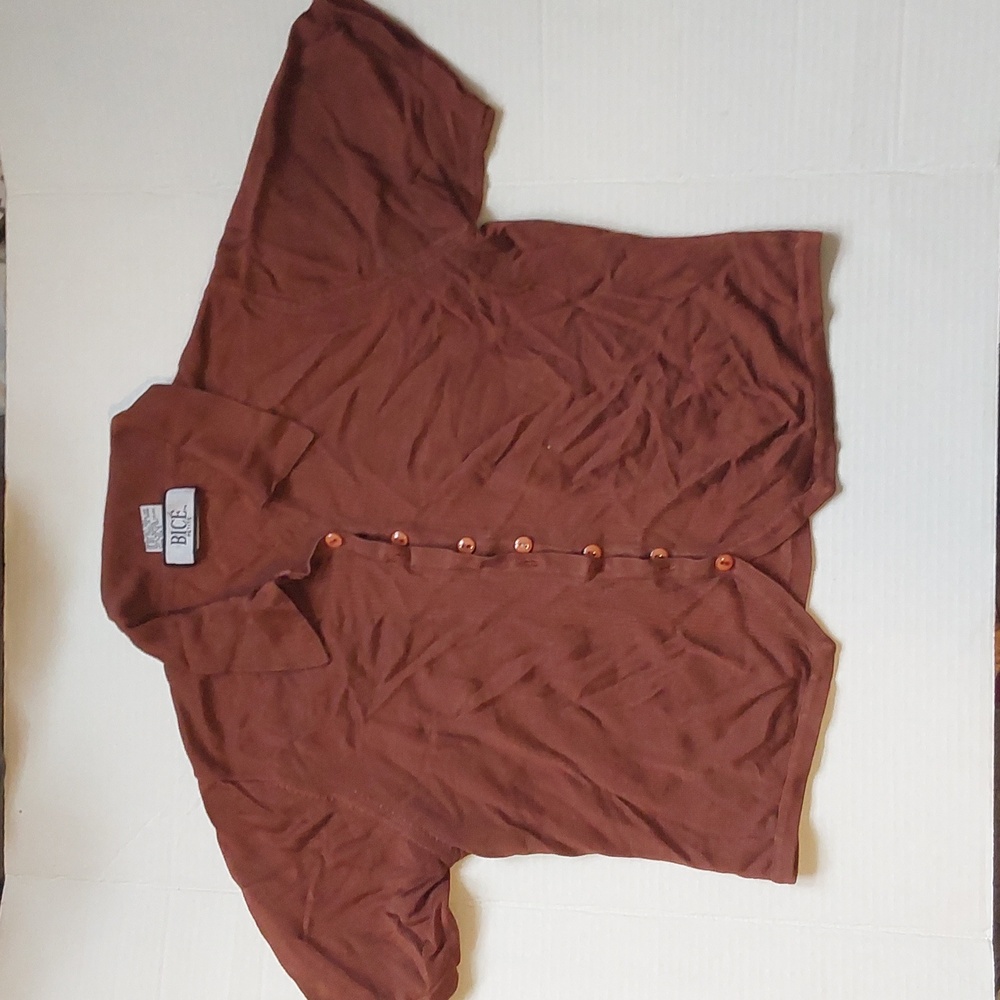 Brown blouse